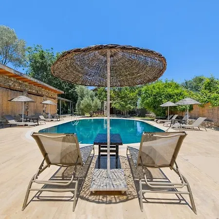 Albavis-10-person Conservative In Kayakoy, Ferienhaus *