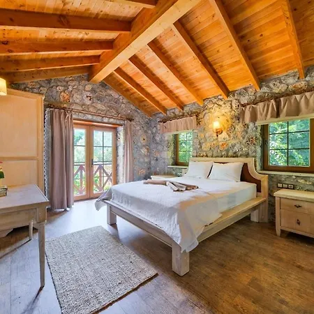 Albavis-10-person Conservative In Kayakoy, Ferienhaus *