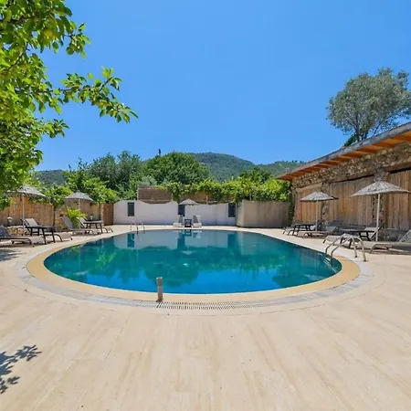 Albavis-10-person Conservative In Kayakoy, * Fethiye