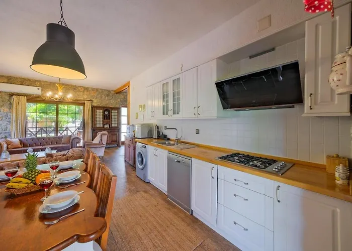 Albavis-10-person Conservative In Kayakoy, Hébergement de vacances *